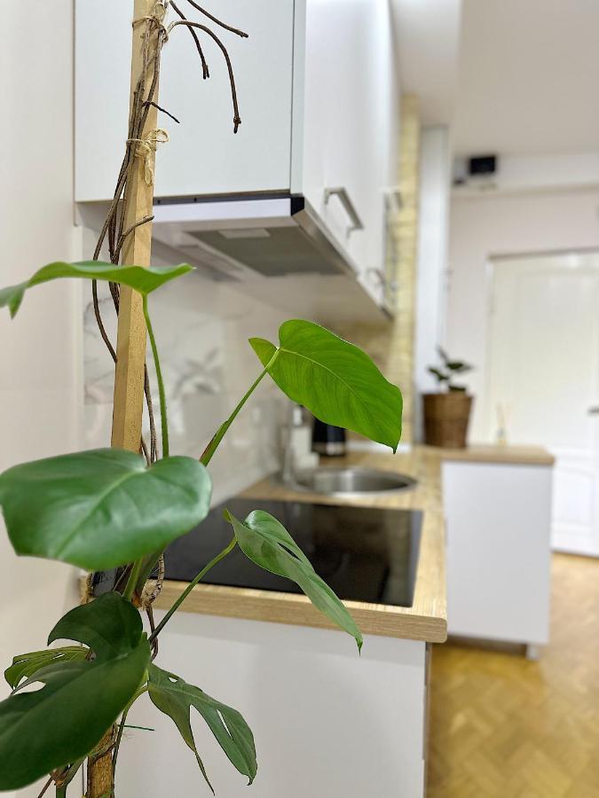 Apartment 바투미 외부 사진